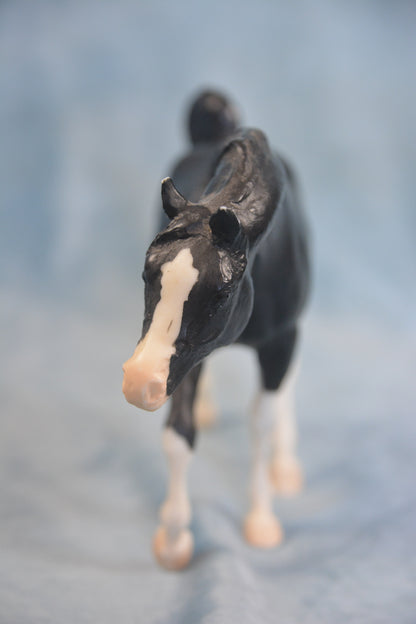 Black Arabian