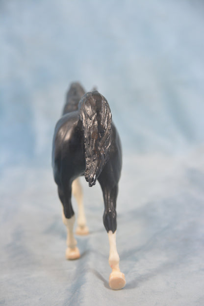 Black Arabian
