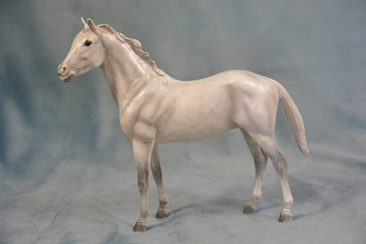 Grey Thoroughbred