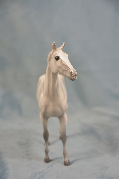 Grey Thoroughbred
