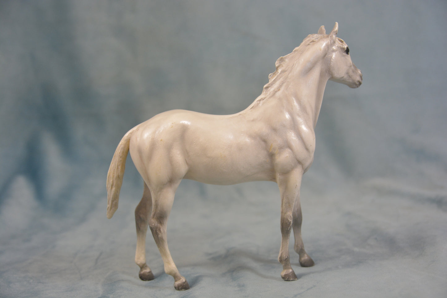 Grey Thoroughbred