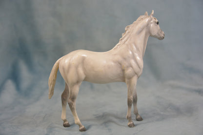 Grey Thoroughbred