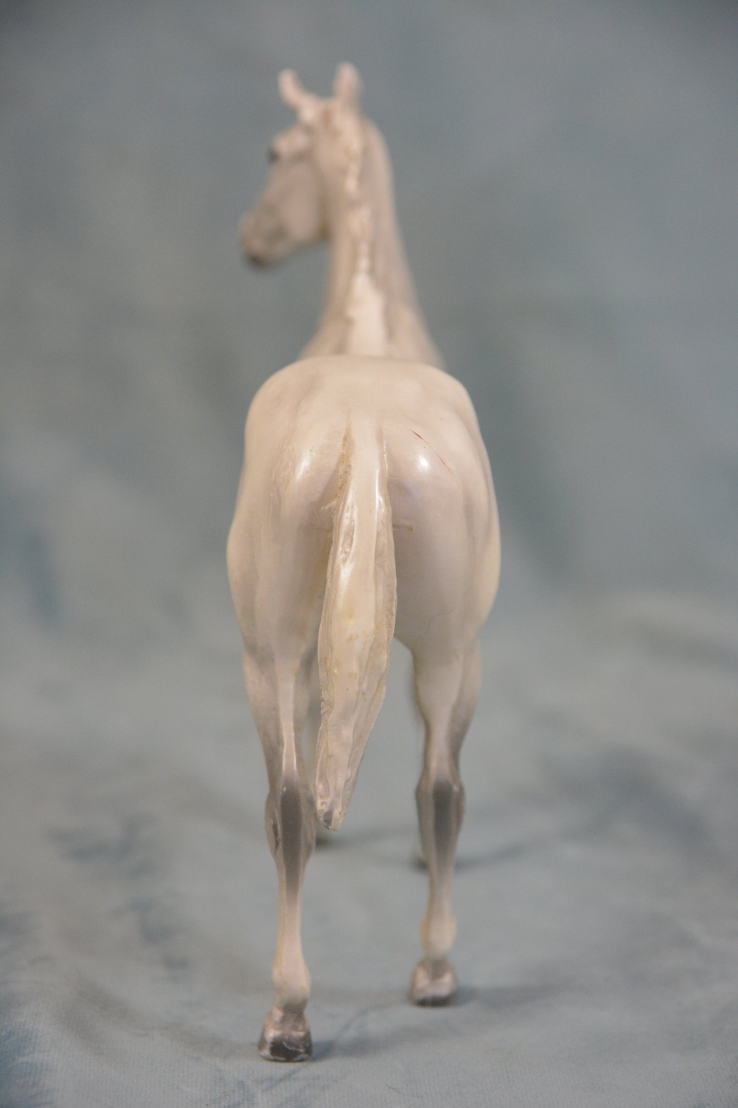 Grey Thoroughbred
