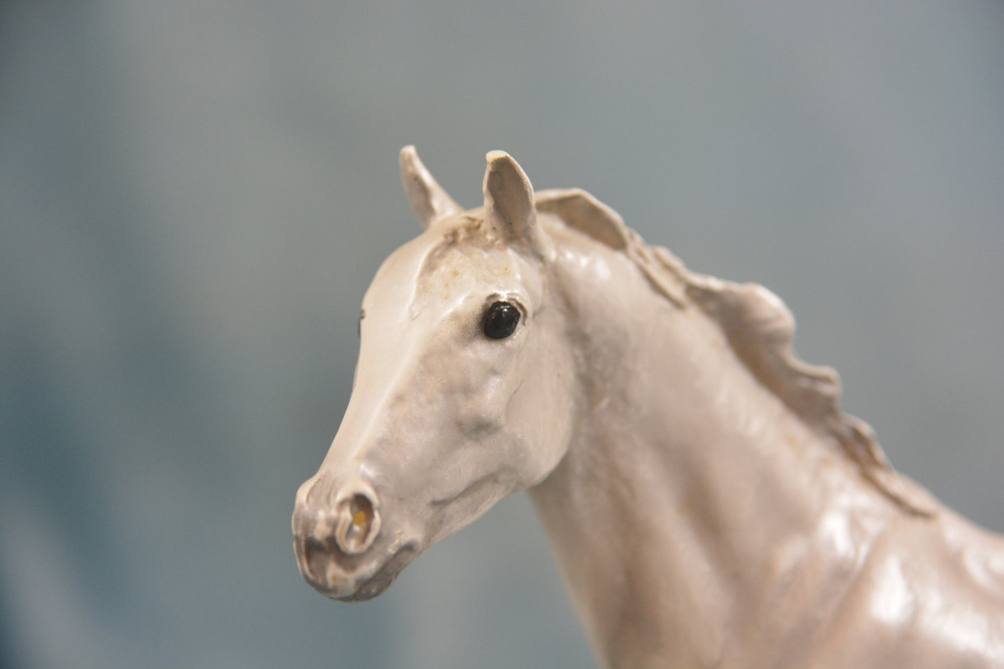 Grey Thoroughbred