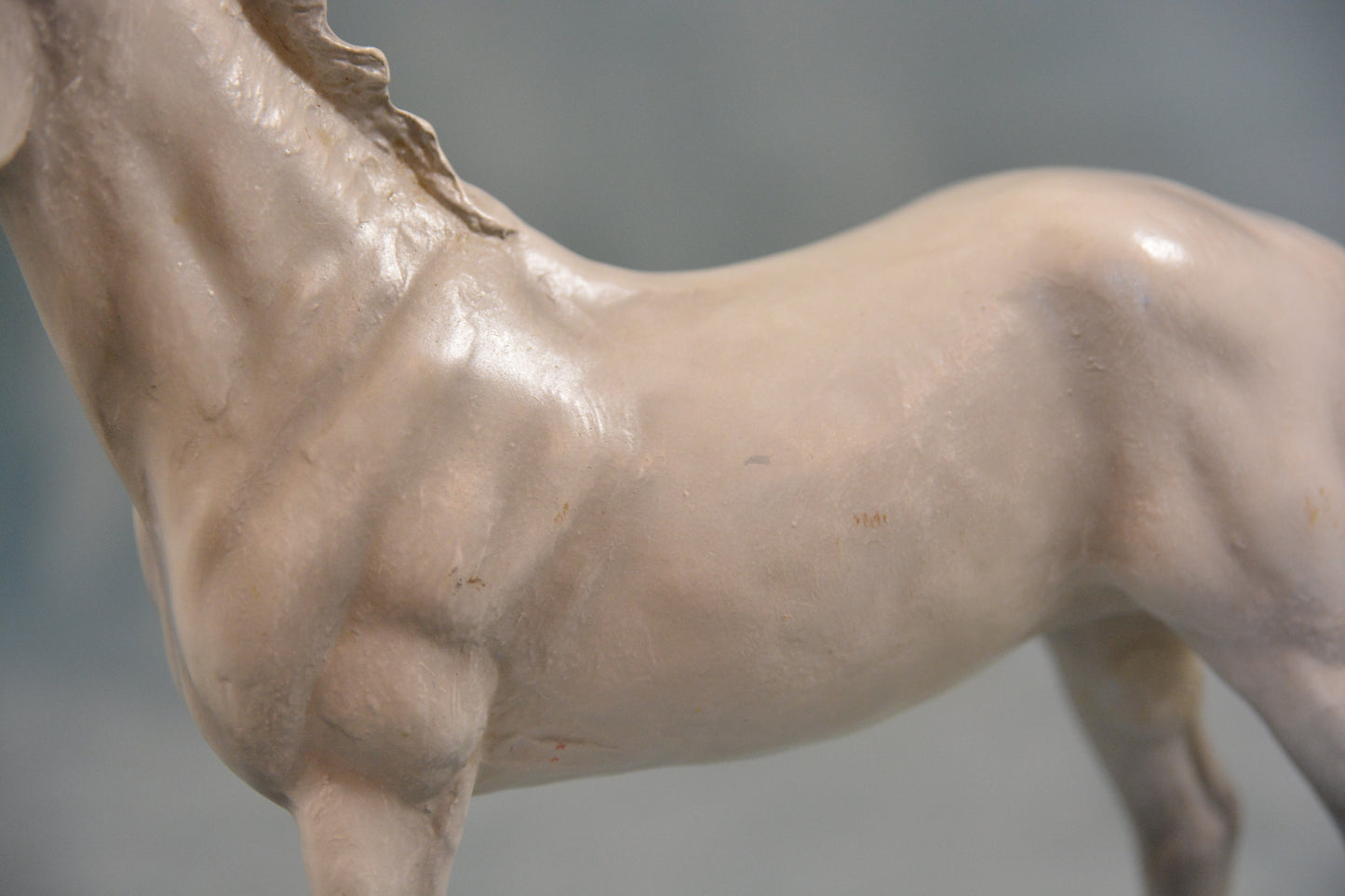 Grey Thoroughbred