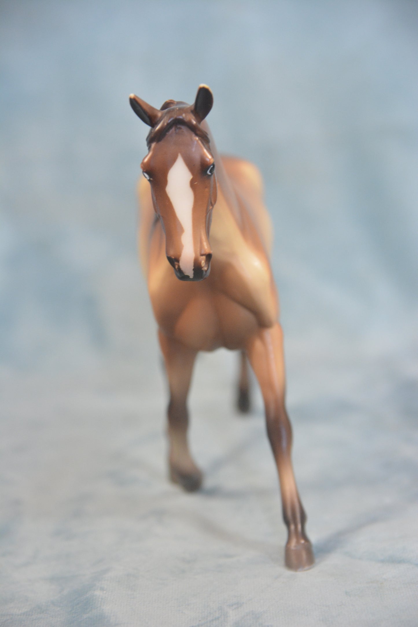 Buckskin Morgan