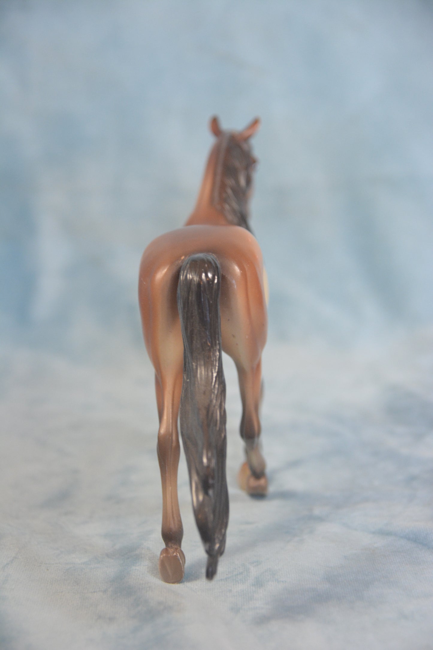 Buckskin Morgan