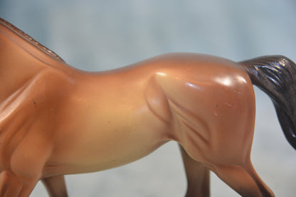 Buckskin Morgan