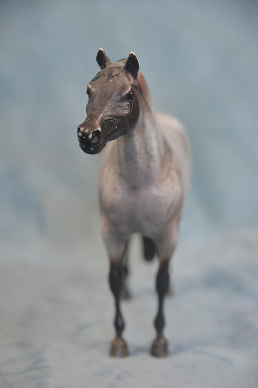 Pippin