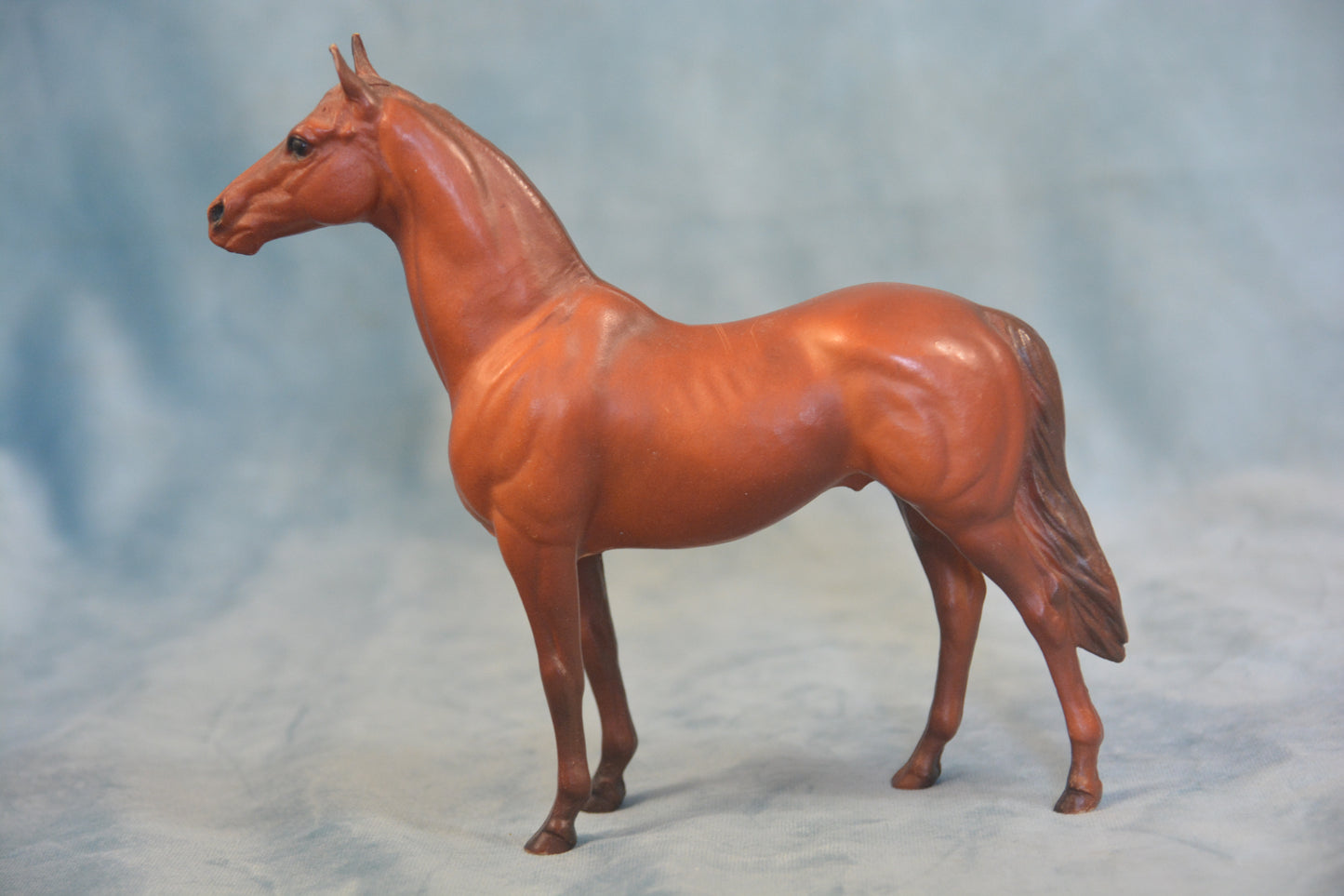 Man O' War