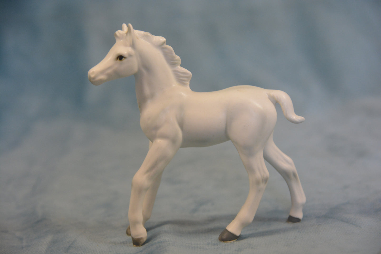 China Foal
