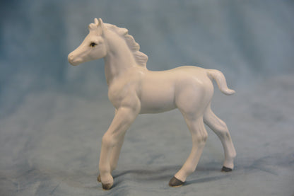 China Foal