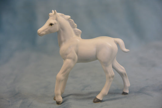 China Foal