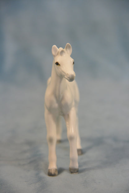 China Foal
