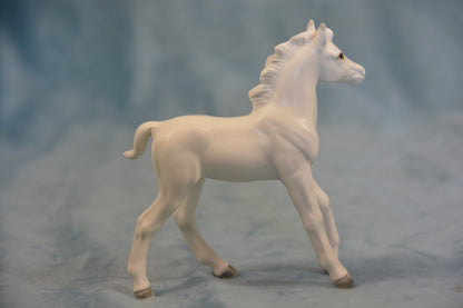 China Foal