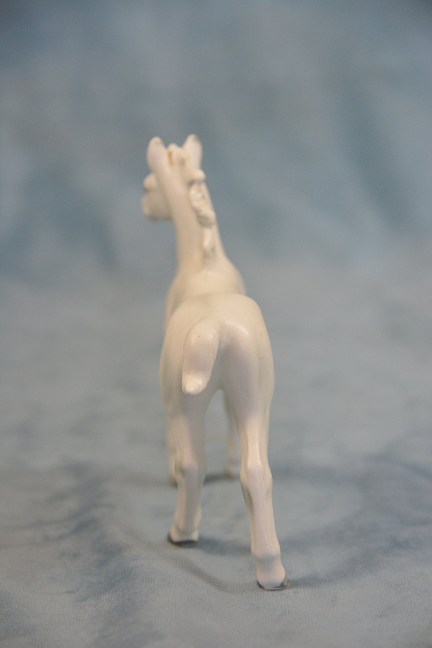 China Foal
