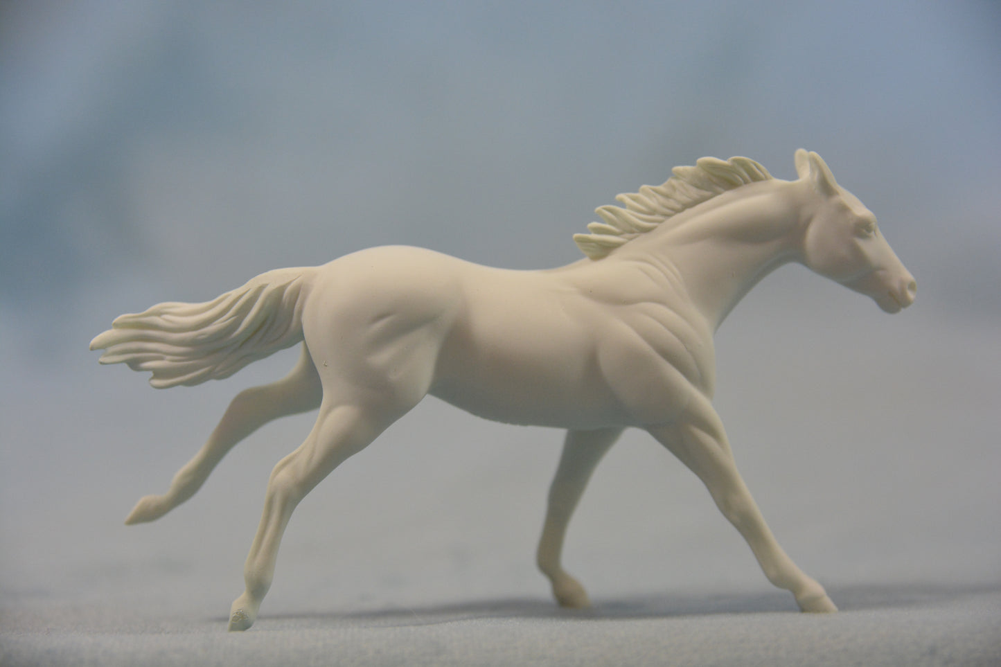 Colour Me Custom - G2 Thoroughbred