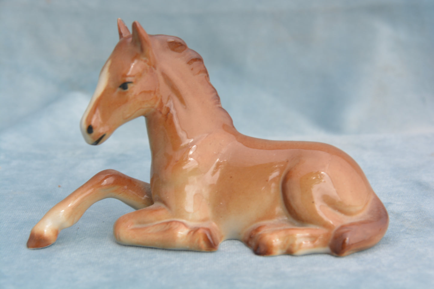 Chestnut China Foal