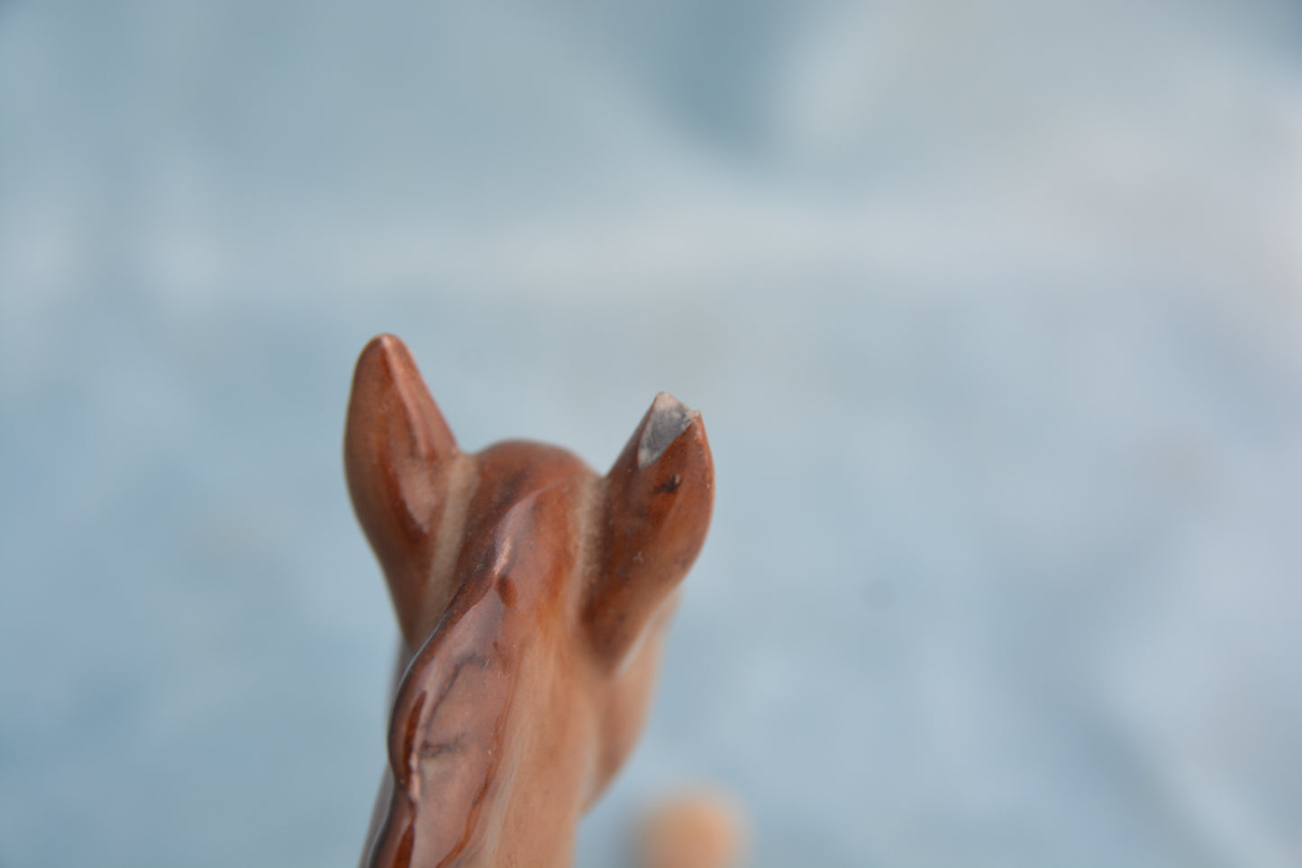 Chestnut China Foal