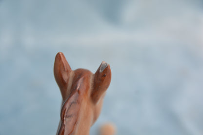 Chestnut China Foal
