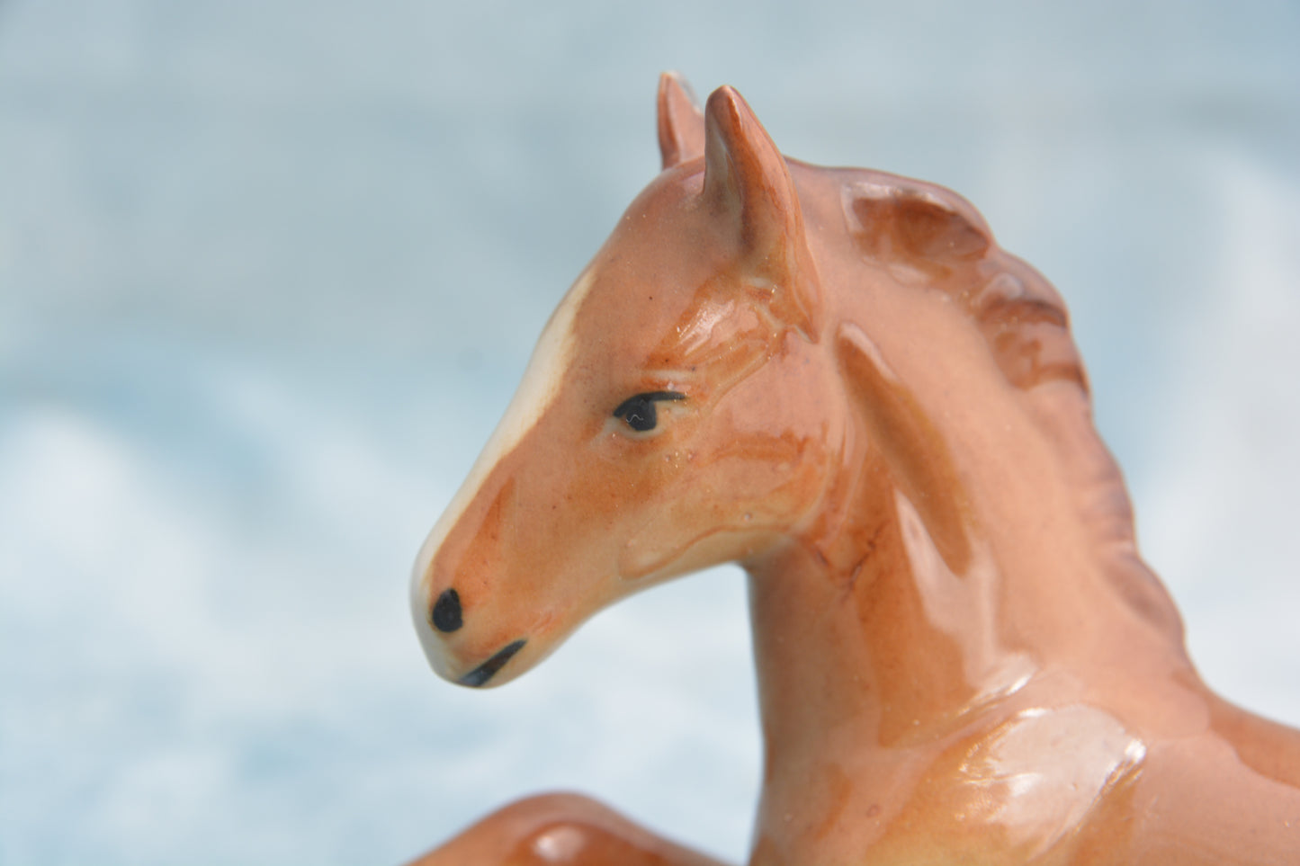 Chestnut China Foal