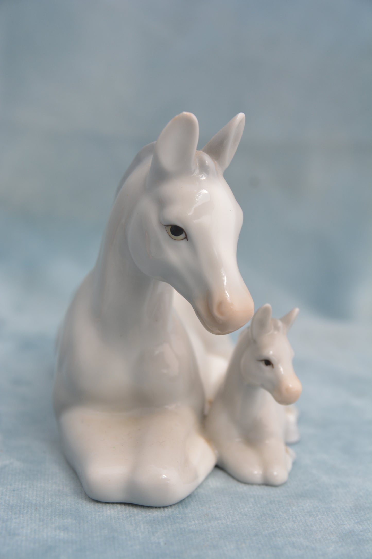 Grey Mare & Foal