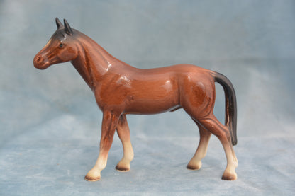 Bay China Foal