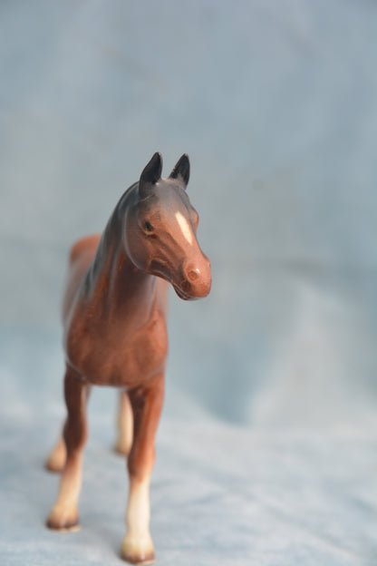 Bay China Foal