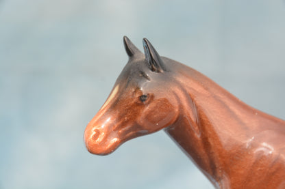 Bay China Foal