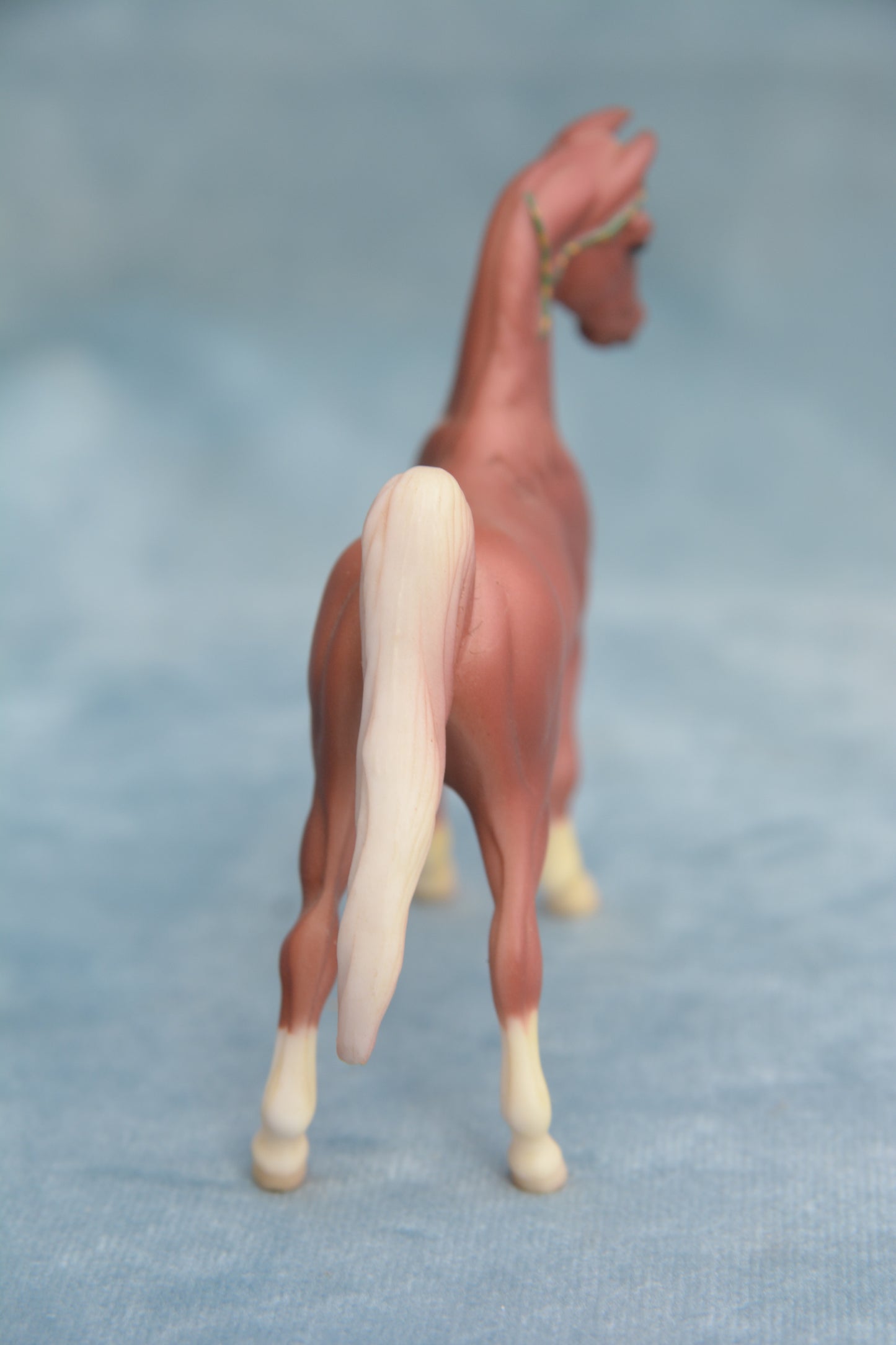 Chestnut Saddlebred