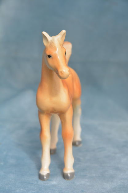 Palomino China Foal