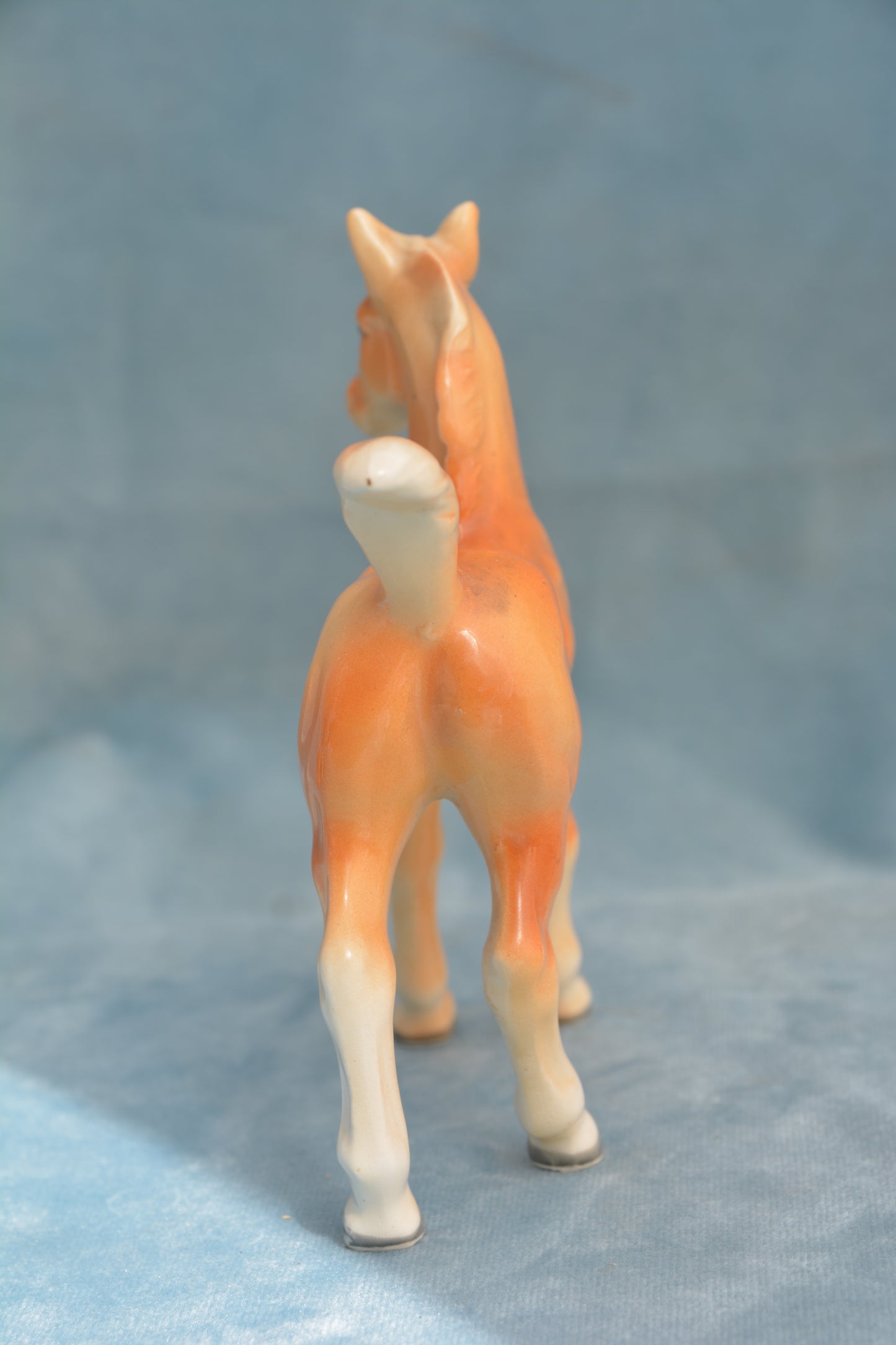 Palomino China Foal