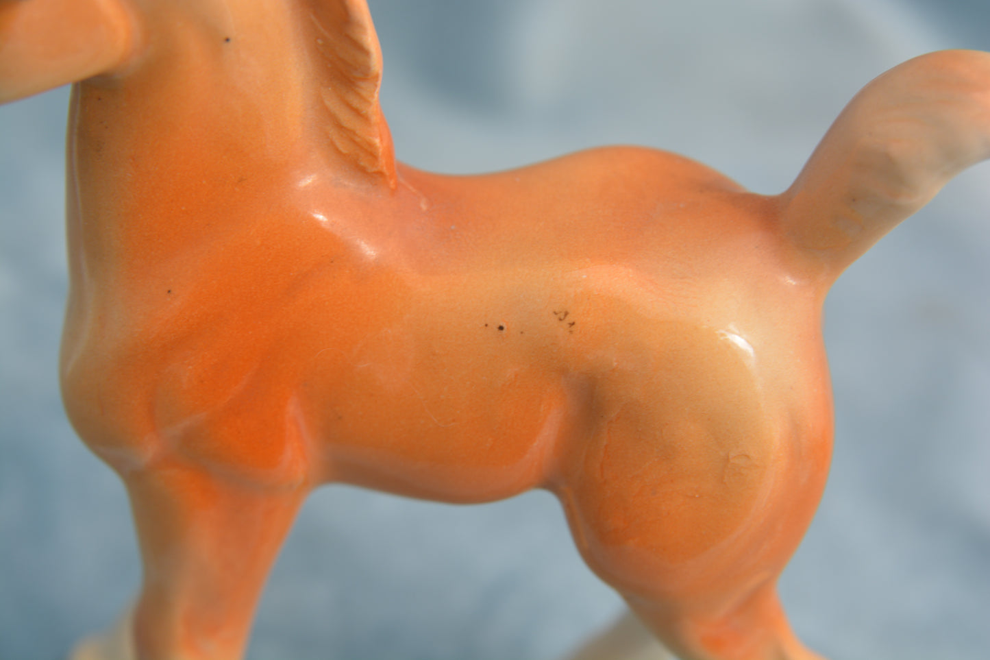 Palomino China Foal