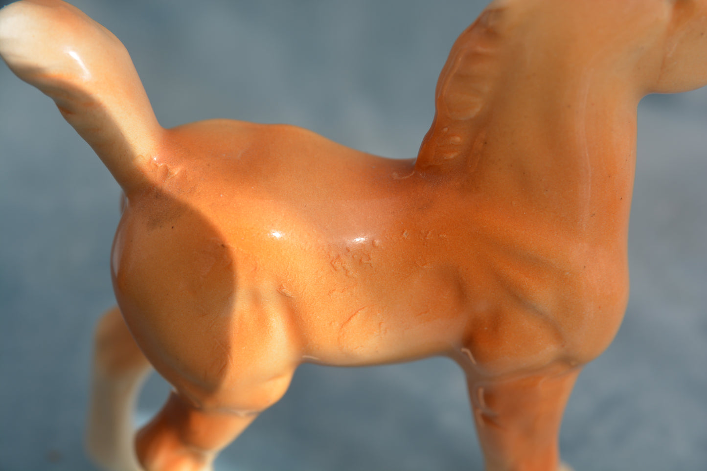Palomino China Foal