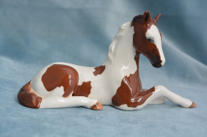 Pinto China Foal