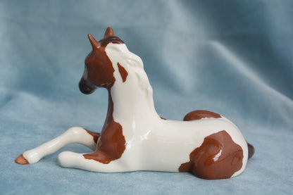 Pinto China Foal