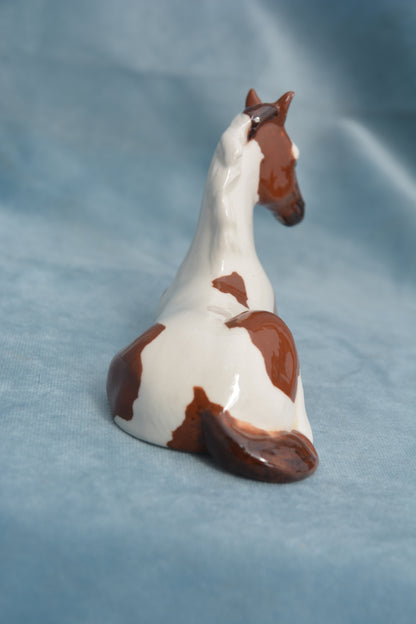 Pinto China Foal