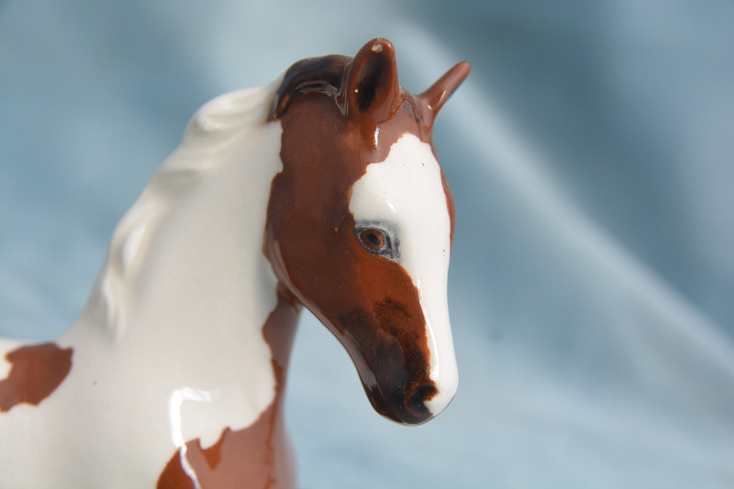 Pinto China Foal