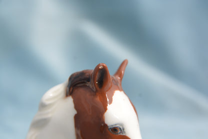 Pinto China Foal