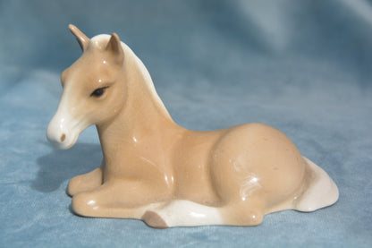Palomino Lying China Foal