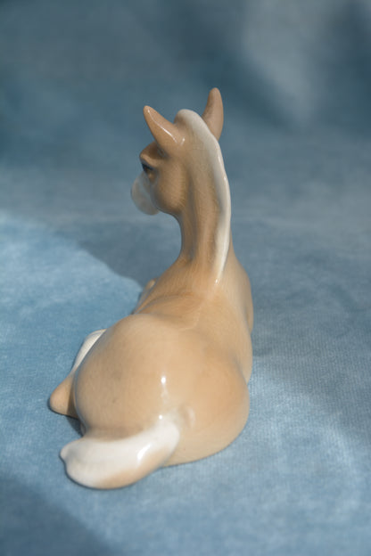 Palomino Lying China Foal
