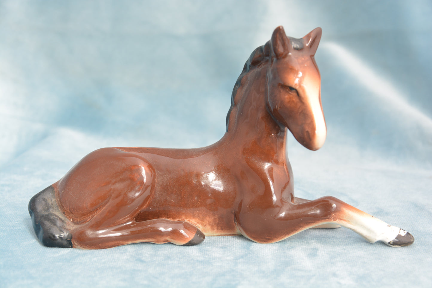 Bay Lying China Foal