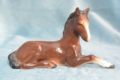 Bay Lying China Foal