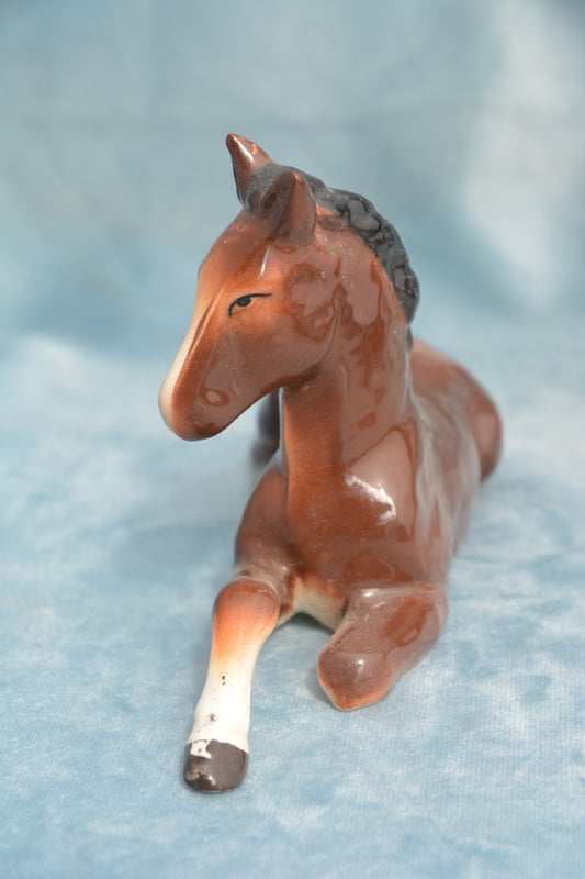 Bay Lying China Foal