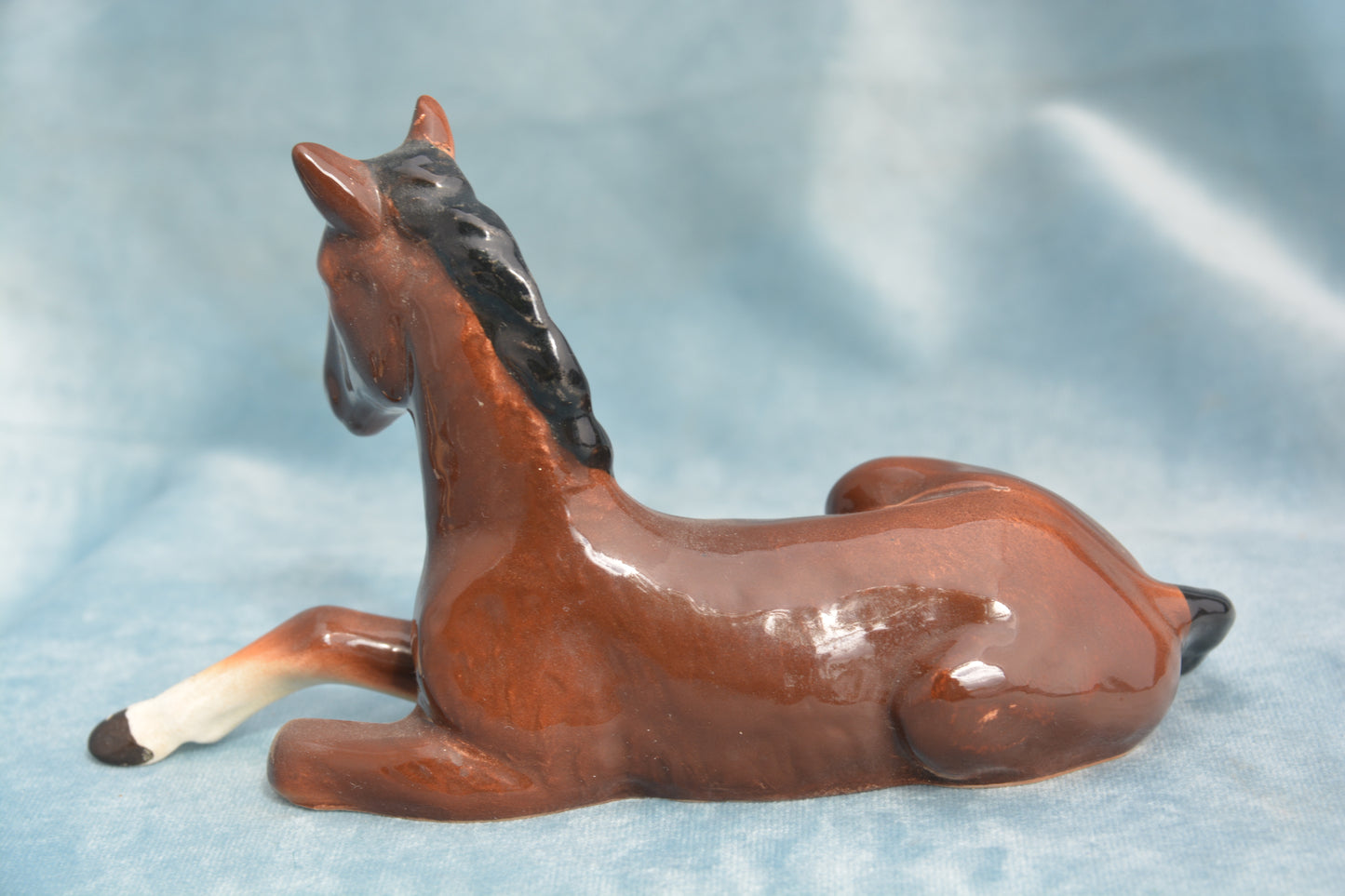 Bay Lying China Foal