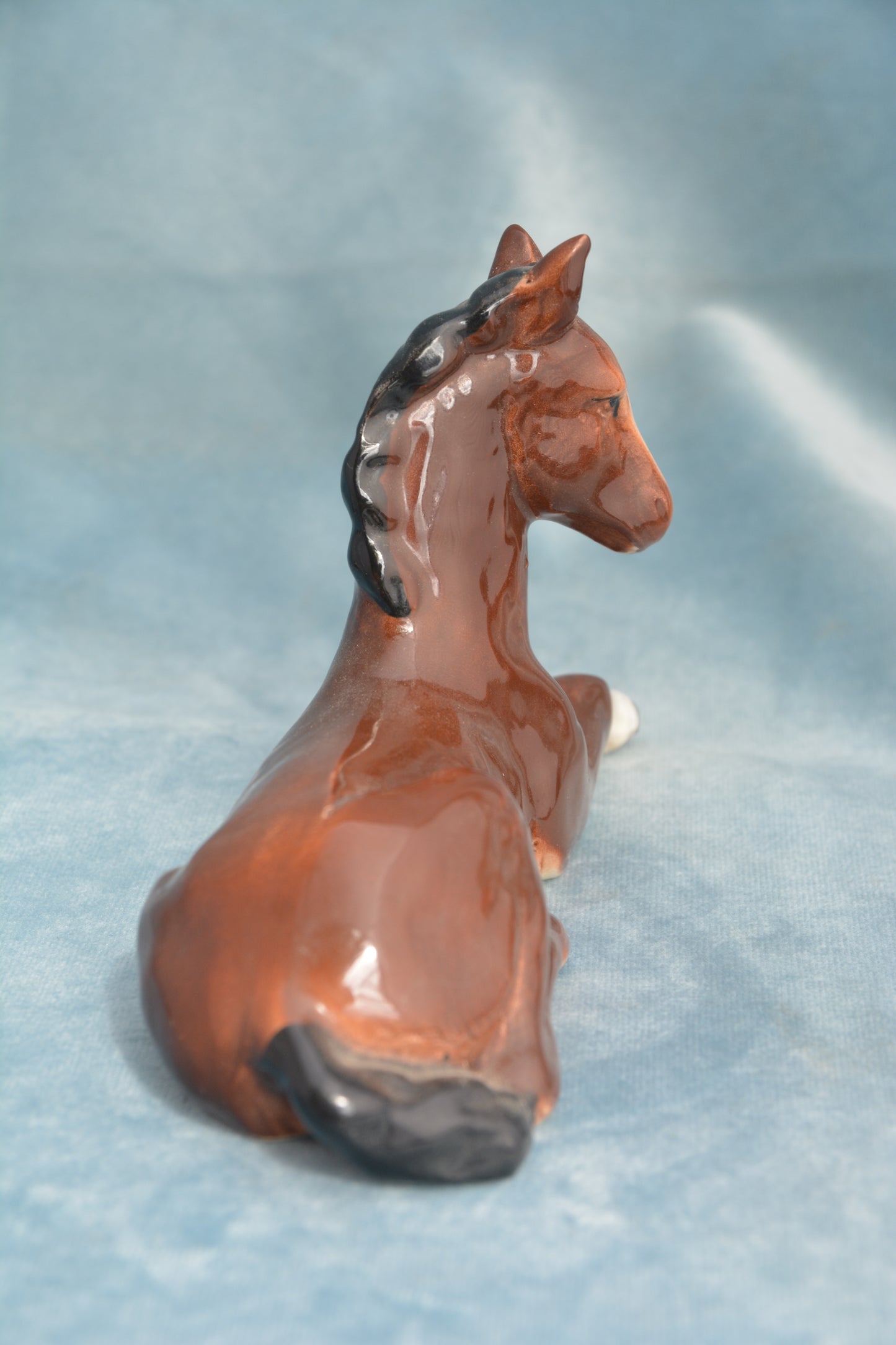 Bay Lying China Foal