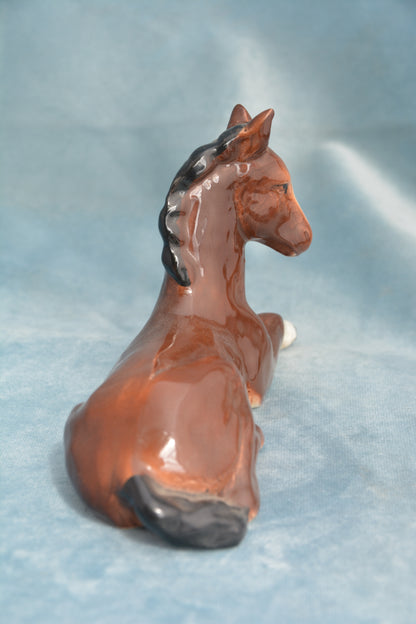 Bay Lying China Foal