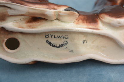 Bay Lying China Foal