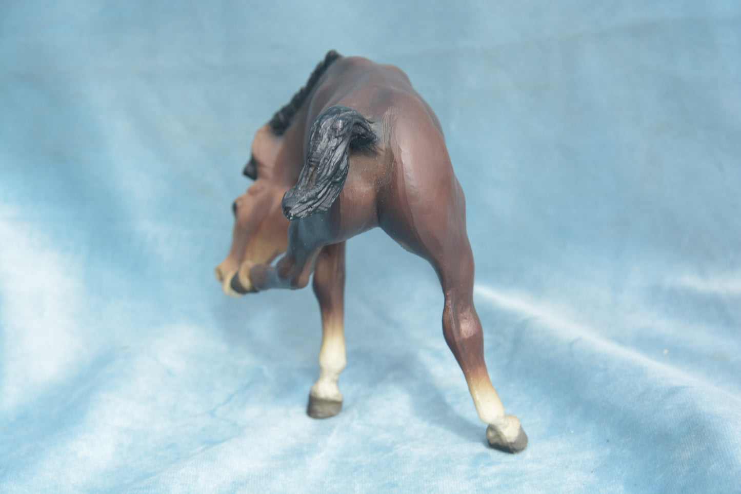Liver Chestnut Scratching Foal