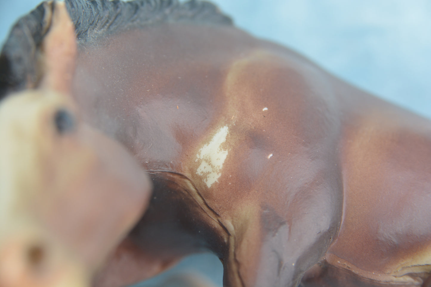 Liver Chestnut Scratching Foal